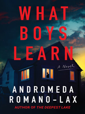 cover image of What Boys Learn